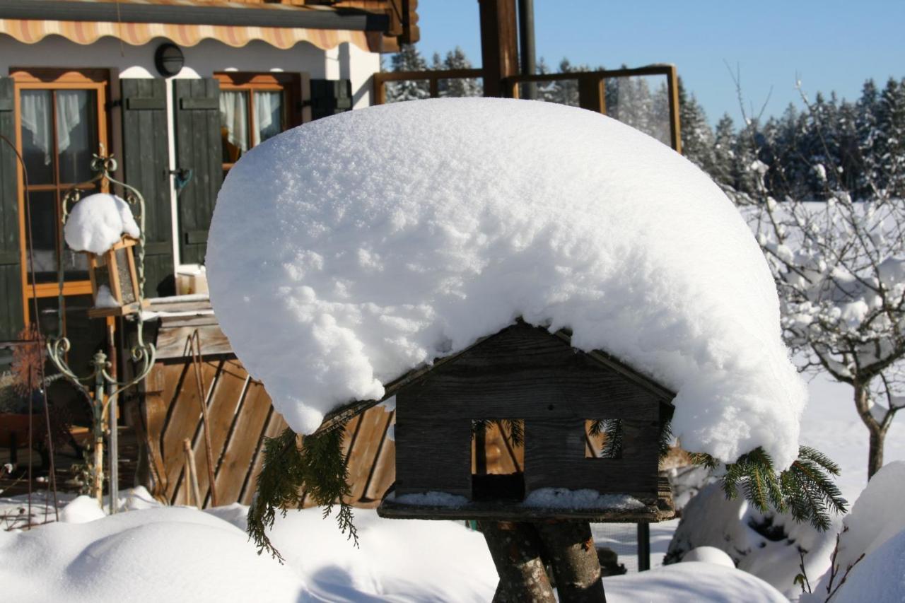 Ferienwohnung Haus Allgäu Ruh Görisried Exterior foto