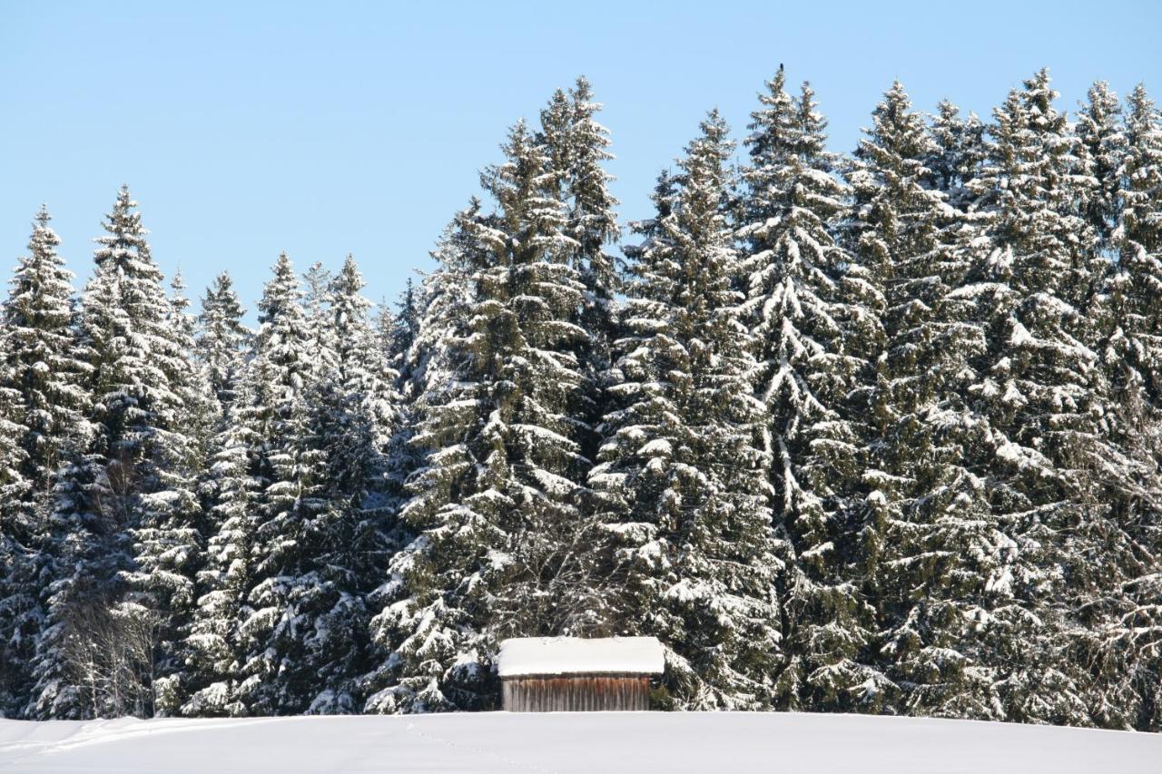 Ferienwohnung Haus Allgäu Ruh Görisried Exterior foto