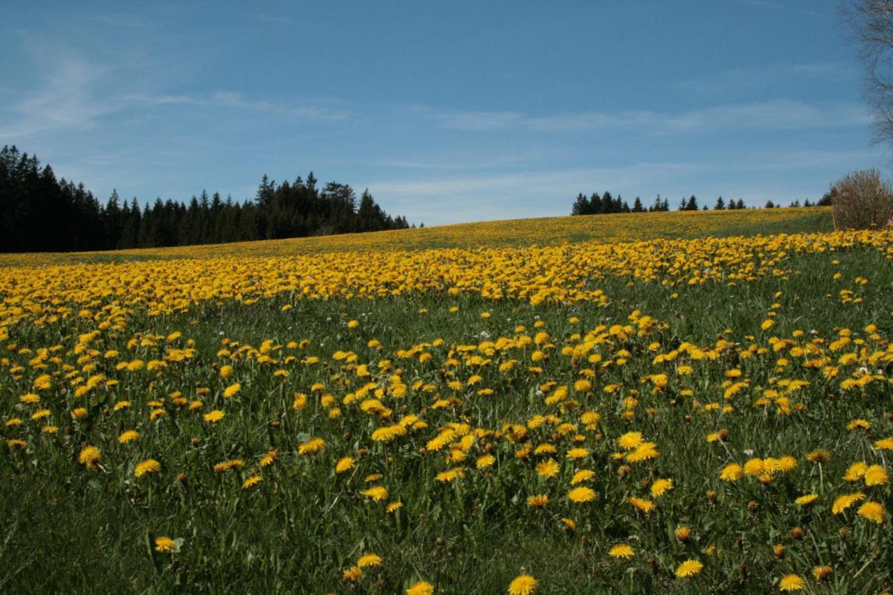 Ferienwohnung Haus Allgäu Ruh Görisried Exterior foto