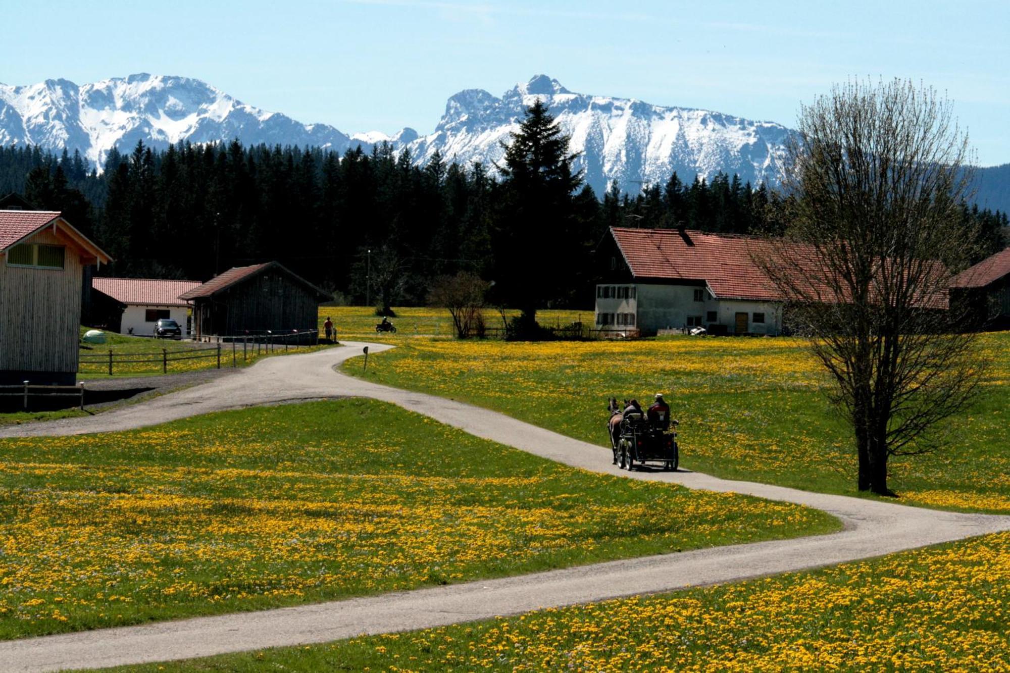 Ferienwohnung Haus Allgäu Ruh Görisried Zimmer foto